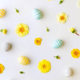 Pretty spring vibes wallpaper