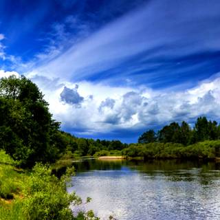 Lake summer trees wallpaper