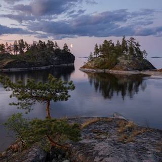 Lake summer trees wallpaper