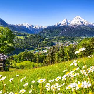 Alps summer 4k wallpaper