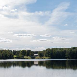 Lake summer trees wallpaper
