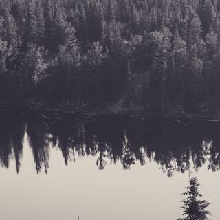 Black and white 4k iPhone wallpaper