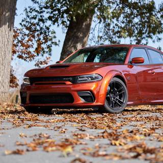 Dodge 4k PC wallpaper