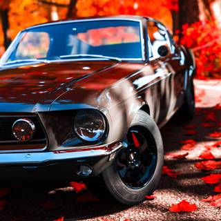 Mustang aesthetic wallpaper