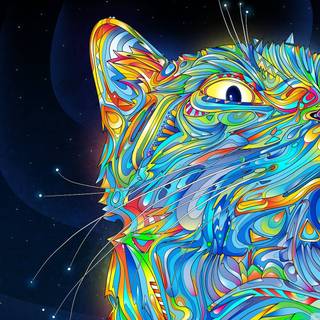 Psychedelic cat wallpaper