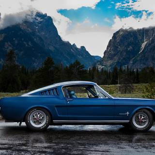 Old Mustang 4k wallpaper