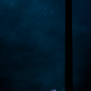 Fight Club mobile wallpaper