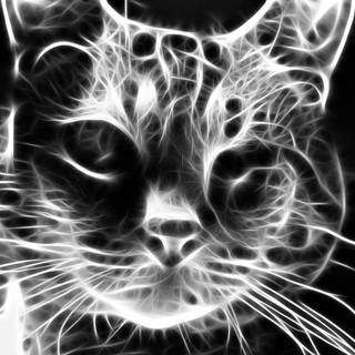 Cat 4k art wallpaper