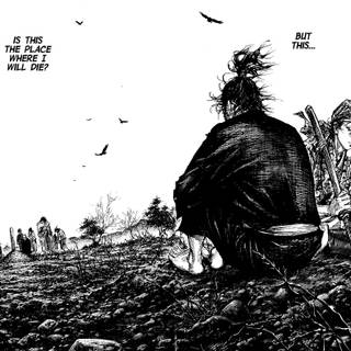 Musashi 4k wallpaper