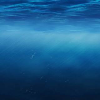 4k underwater PC wallpaper