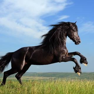 Running 4k wallpaper