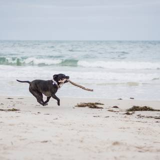 Running 4k wallpaper