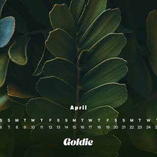 April 2024 calendar wallpaper