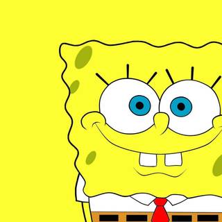 Sassy Spongebob wallpaper