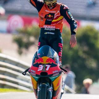 Pedro Acosta wallpaper