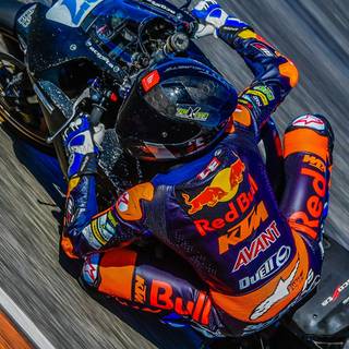 Pedro Acosta wallpaper