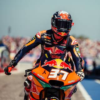 Pedro Acosta wallpaper