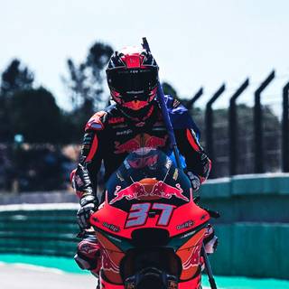 Pedro Acosta wallpaper