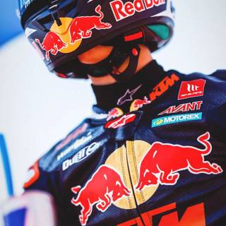 Pedro Acosta wallpaper