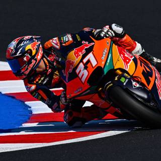 Pedro Acosta wallpaper