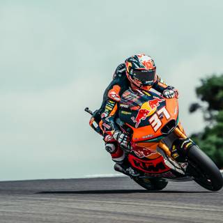 Pedro Acosta wallpaper