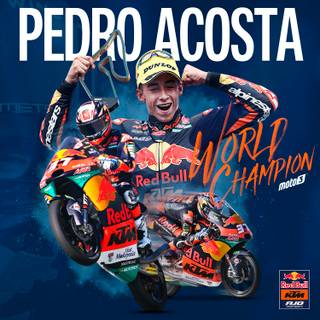 Pedro Acosta wallpaper