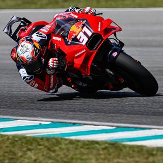 Pedro Acosta wallpaper