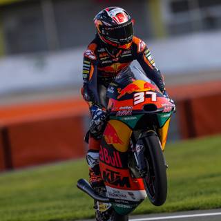 Pedro Acosta wallpaper