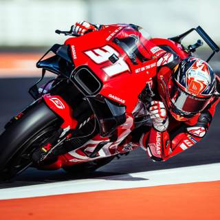 Pedro Acosta wallpaper