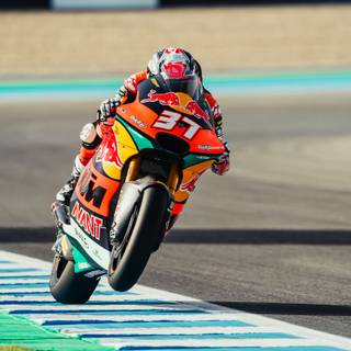 Pedro Acosta wallpaper