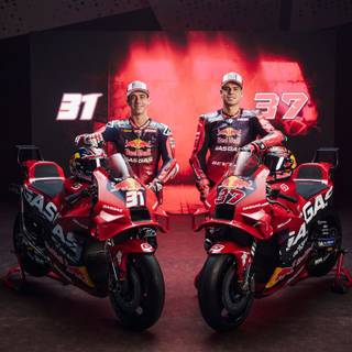 Pedro Acosta wallpaper