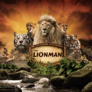 Lion design wallpaper