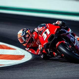 Pedro Acosta wallpaper