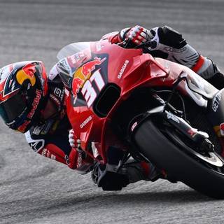 Pedro Acosta wallpaper