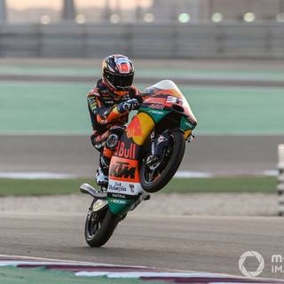 Pedro Acosta wallpaper