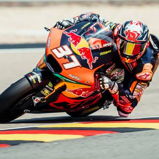 Pedro Acosta wallpaper