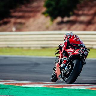 Pedro Acosta wallpaper