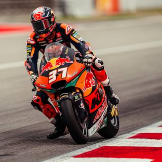 Pedro Acosta wallpaper