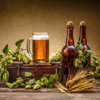 Beer vintage wallpaper