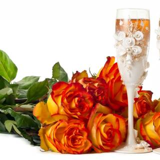 Roses and champagne wallpaper