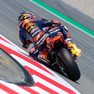 Pedro Acosta wallpaper