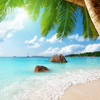 Ocean beach 4k wallpaper