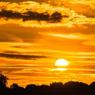 Morning sun 4k wallpaper