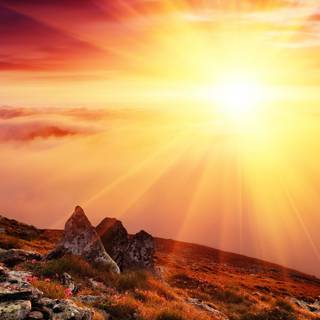 Morning sun 4k wallpaper