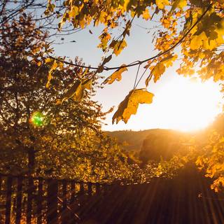 Morning sun 4k wallpaper