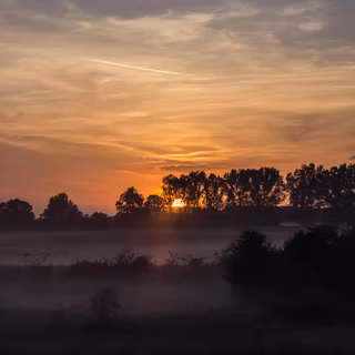 Morning sun 4k wallpaper