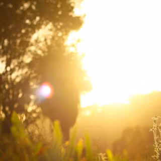 Morning sun 4k wallpaper