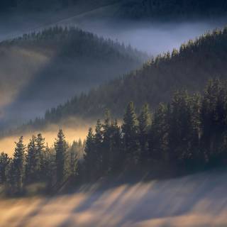 Morning sun 4k wallpaper
