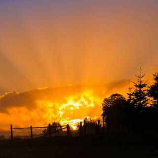 Morning sun 4k wallpaper
