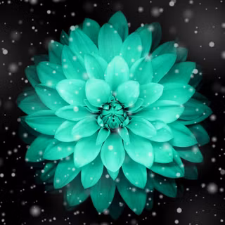Black teal wallpaper